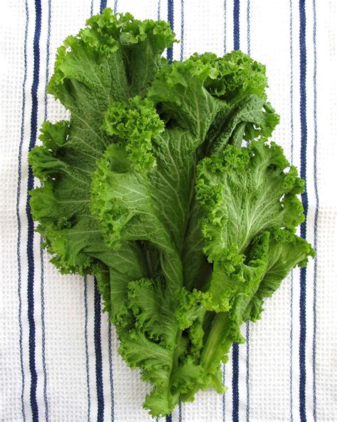 Mustard Greens Recipes | Martha Stewart