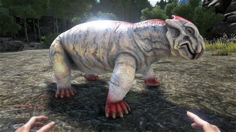 Lystrosaurus - Official ARK: Survival Evolved Wiki