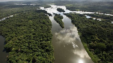 Huge coral reef discovered at Amazon river mouth – The Irish Times