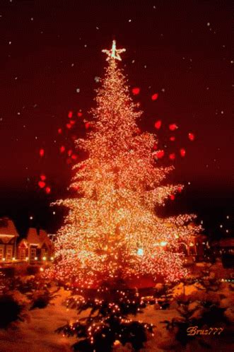 Christmas Tree Lights GIF - Christmas Tree Lights Winter - Discover & Share GIFs