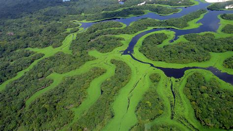 Anavilhanas National Park & Archipelago (Brazil) | LAC Geo