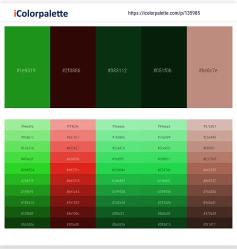 1 Latest Color Schemes with Bottle Green And Brandy Rose Color tone combinations | 2024 ...