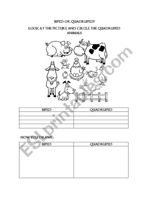 biped or quadruped animals - ESL worksheet by Etche