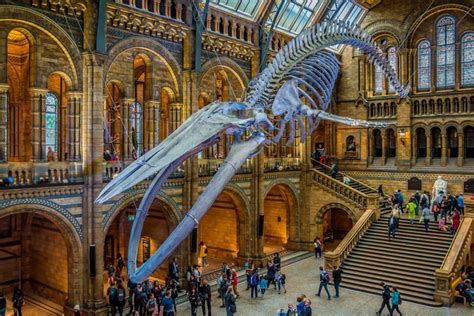 The World's Most Popular Museums | Reader’s Digest