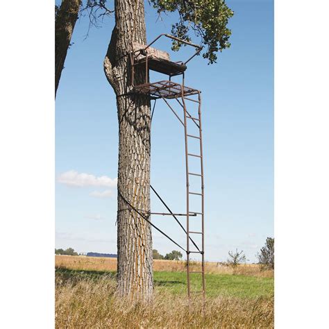 API® 18' Ultra - steel 2 - person Deluxe Ladder Tree Stand, Realtree ...