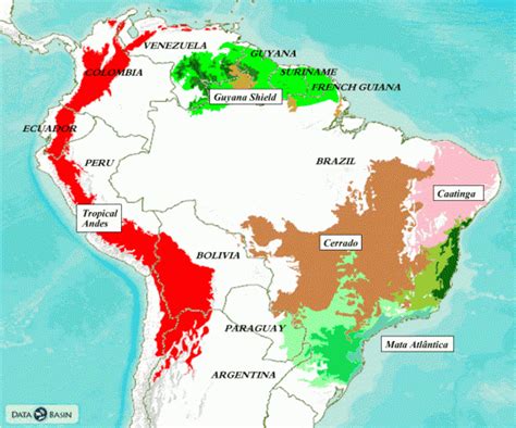 Other ecoregions of South America | Global Forest Atlas | South america ...