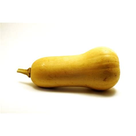 Butternut Squash Nutrition | Healthfully