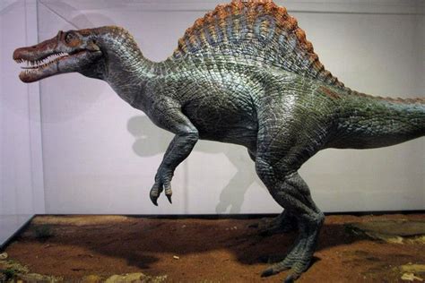 spinosaurus jurassic park - Google Search Spinosaurus, Puzzle Chino, Jurassic World 2015, World ...