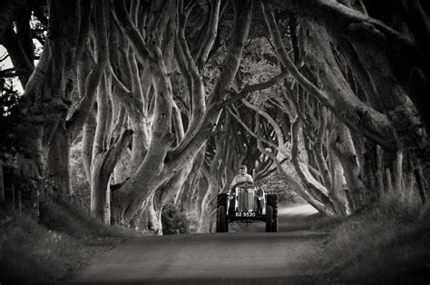 The Dark Hedges | Dark hedges, Nature photography, Picture