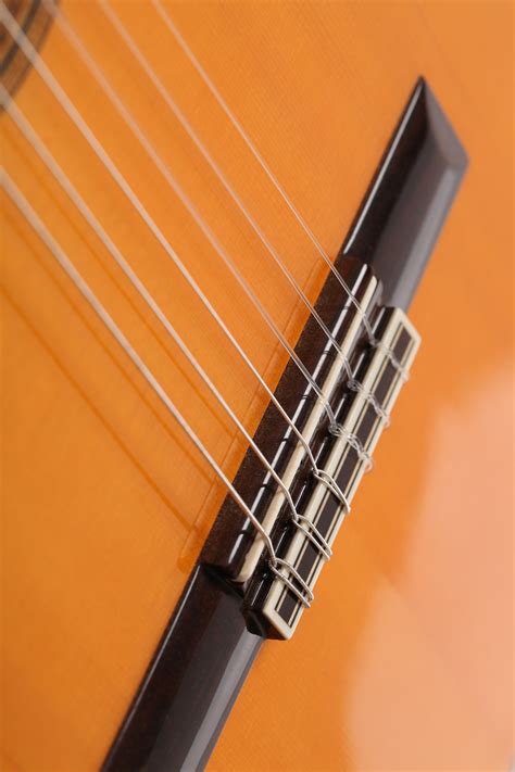 Cordoba 45FCE cutaway flamenco guitar › Cypress guitars (blanca) › La Sonanta - Flamenco