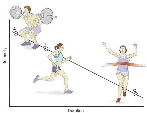 Fitness, Factually.: Exercise Metabolism & Bioenergetics SIMPLIFIED