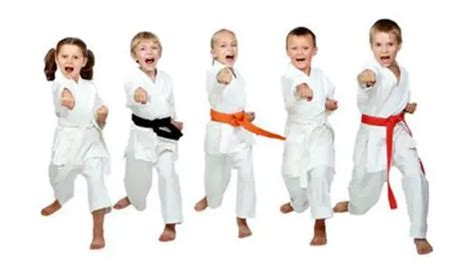 3 Best Martial Arts for Kids Fully Reviewed - Borncute.com