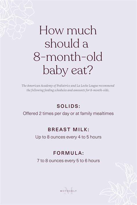 8-Month-Old Baby Feeding Schedule - Motherly