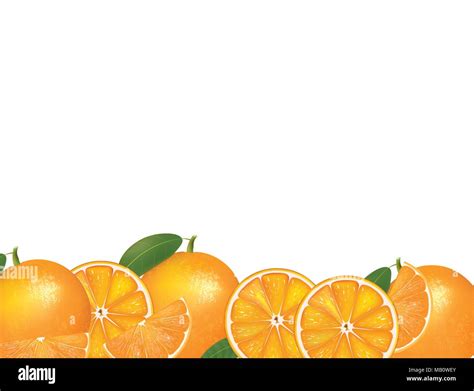 Orange fruit background, vector Stock Vector Image & Art - Alamy