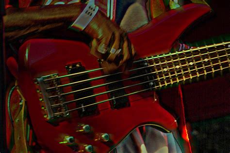 Bass Player Free Stock Photo - Public Domain Pictures