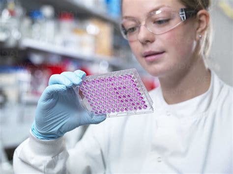 Scientist holding a multi well plate, Jenner Institute, Oxford University stock photo