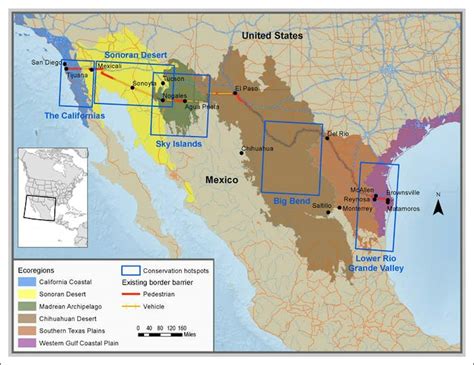 2,500 Scientists Warn Against the Border Wall's Huge Environmental Cost | Inverse