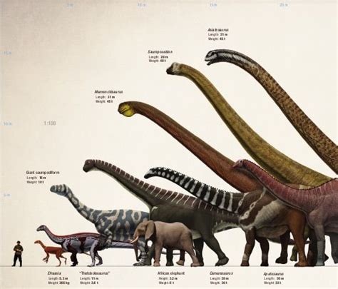 Dinosaur: Facts and Figures