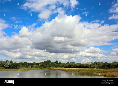 Brandon Marsh Nature Reserve Stock Photo - Alamy