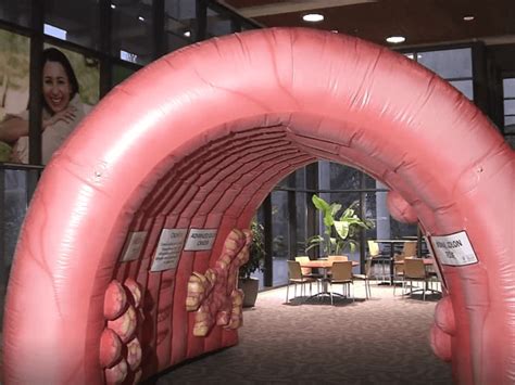 Kansas Medical Center Offering Reward for Missing Inflatable Colon