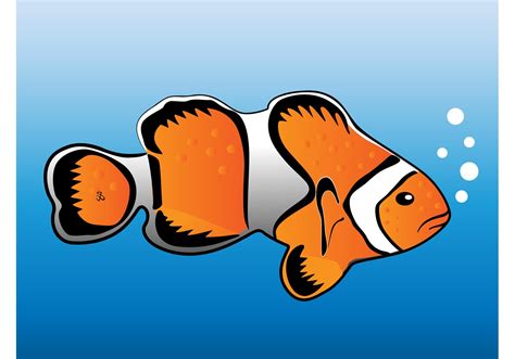 Clown Fish Vector - Download Free Vector Art, Stock Graphics & Images