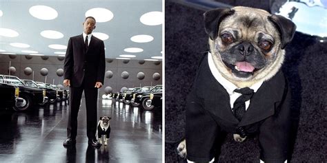 Insiders Say Frank The Pug Was The Most Demanding 'MIB' Character