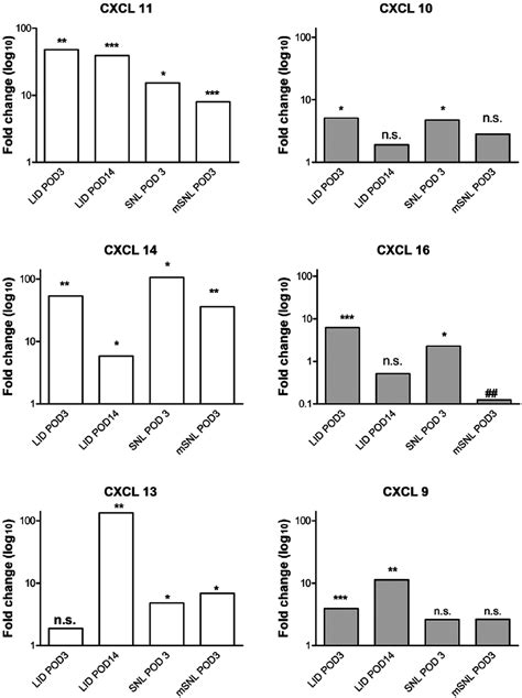 Upregulation of selected cytokines in different pain models. All ...