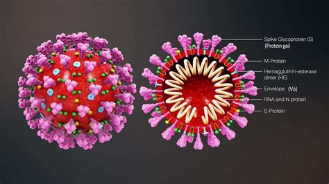 What Happens if the Coronavirus Wuhan Lab Leak Thesis Is True? - 19FortyFive
