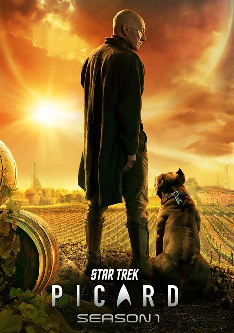 Star Trek: Picard (TV Series 2020-2023) - Posters — The Movie Database (TMDB)