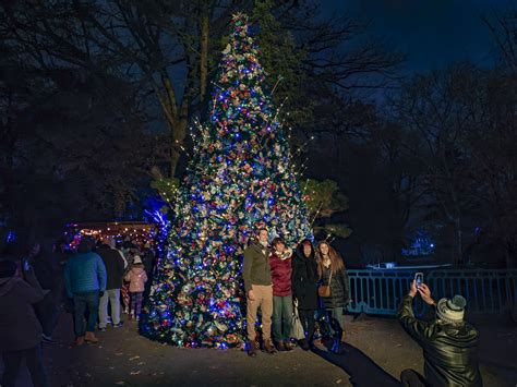 Photos: The Philly Zoo is glowing with a million holiday lights