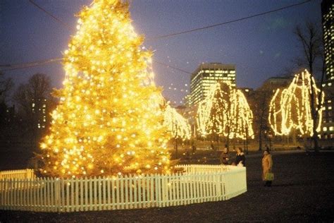 Boston Common Christmas Tree Lighting is one of the very best things to ...