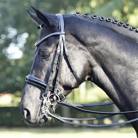 The 5 Best Dressage Bridles: Buyer's Guide (UK 2021) - Horses in Sport