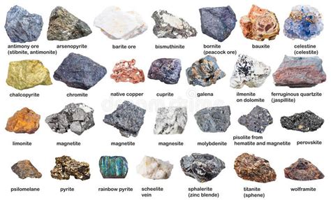 Set From Raw Minerals And Ores With Names Isolated Stock Photo - Image ...