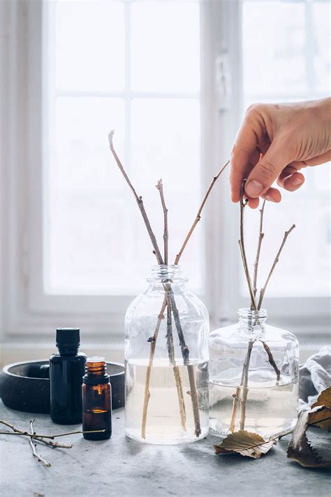 Aromatherapy Reed Diffuser Recipes | Dandk Organizer