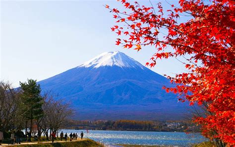 5+ Best Incredible Day Trip From Tokyo To Mt Fuji References Tour ...