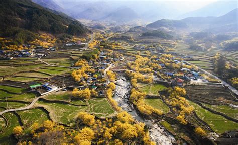 Sansuyu Village, Gurye County, South Jeolla Province, South Korea [OS] [1600×974] : r/VillageFans