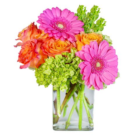 Rainbow Sherbet | Art Flower & Gift Shoppe