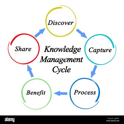 Knowledge Management Life Cycle Diagram