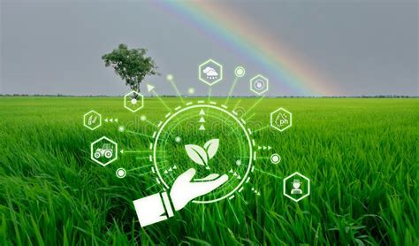 The Vital Role Of Climate-Smart Agriculture In Boosting Crop Yields