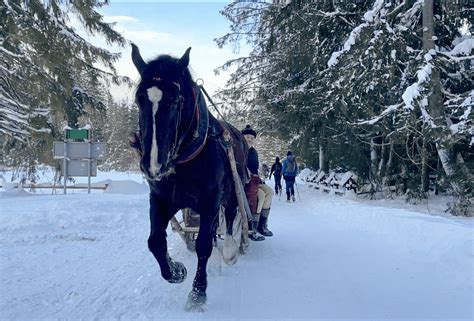 The Ultimate Guide To Winter In Zakopane - Travel Poland Tours