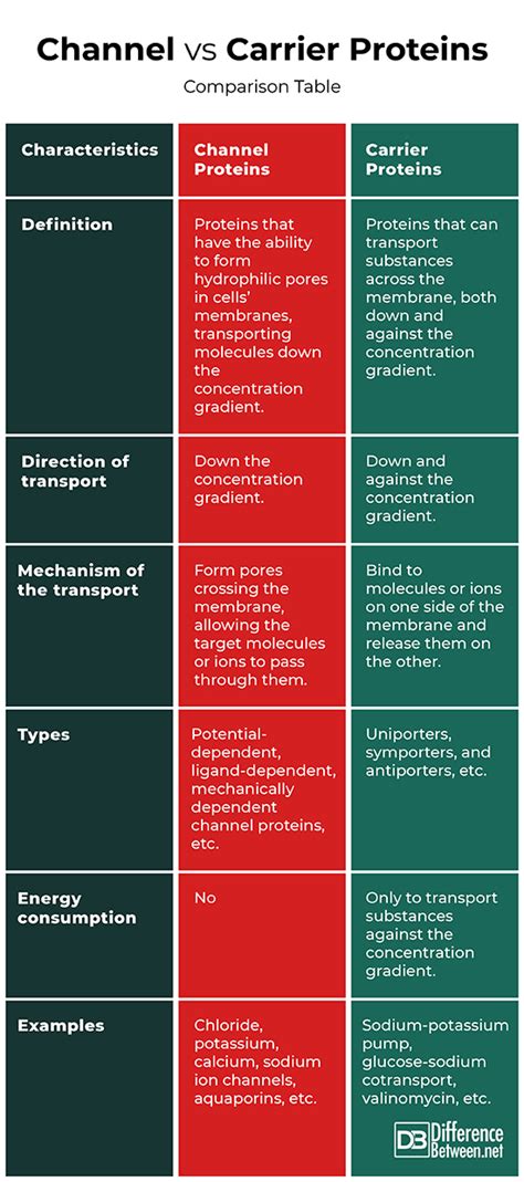 Difference Between Channel and Carrier Proteins | Difference Between