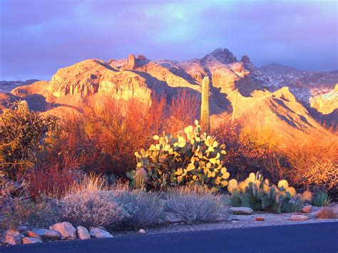 Tucson Mountain Sunset Wallpapers - 4k, HD Tucson Mountain Sunset Backgrounds on WallpaperBat