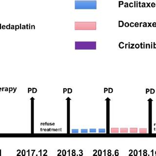 The timeline from diagnosis of NSCLC to different stages of therapeutic... | Download Scientific ...