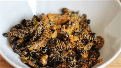 Masonja / Mopani / Mopane Worm Recipes – The Best African Dried Moth Caterpillar Recipes Video ...