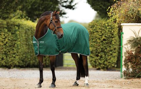 Horse Rugs Guide - Different Types Of Rug And When To Use Them by Team Horsemart | Horsemart