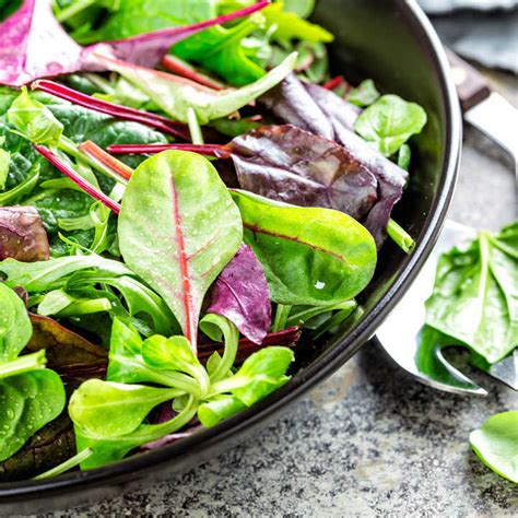 Bistro Salad Mix Plants | Suttons