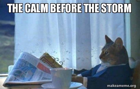 The Calm before the Storm - Sophisticated Cat Meme Generator