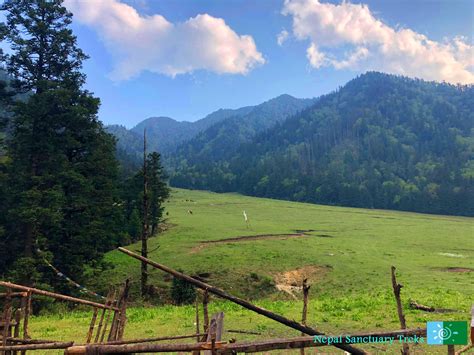 Rara Lake: Trekking Guide - Nepal Sanctuary Treks