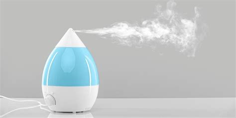 Dehumidifier Or Humidifier For Asthma - Which is better?