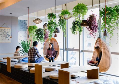 Why plants should be incorporated into the workspace -DesignBump